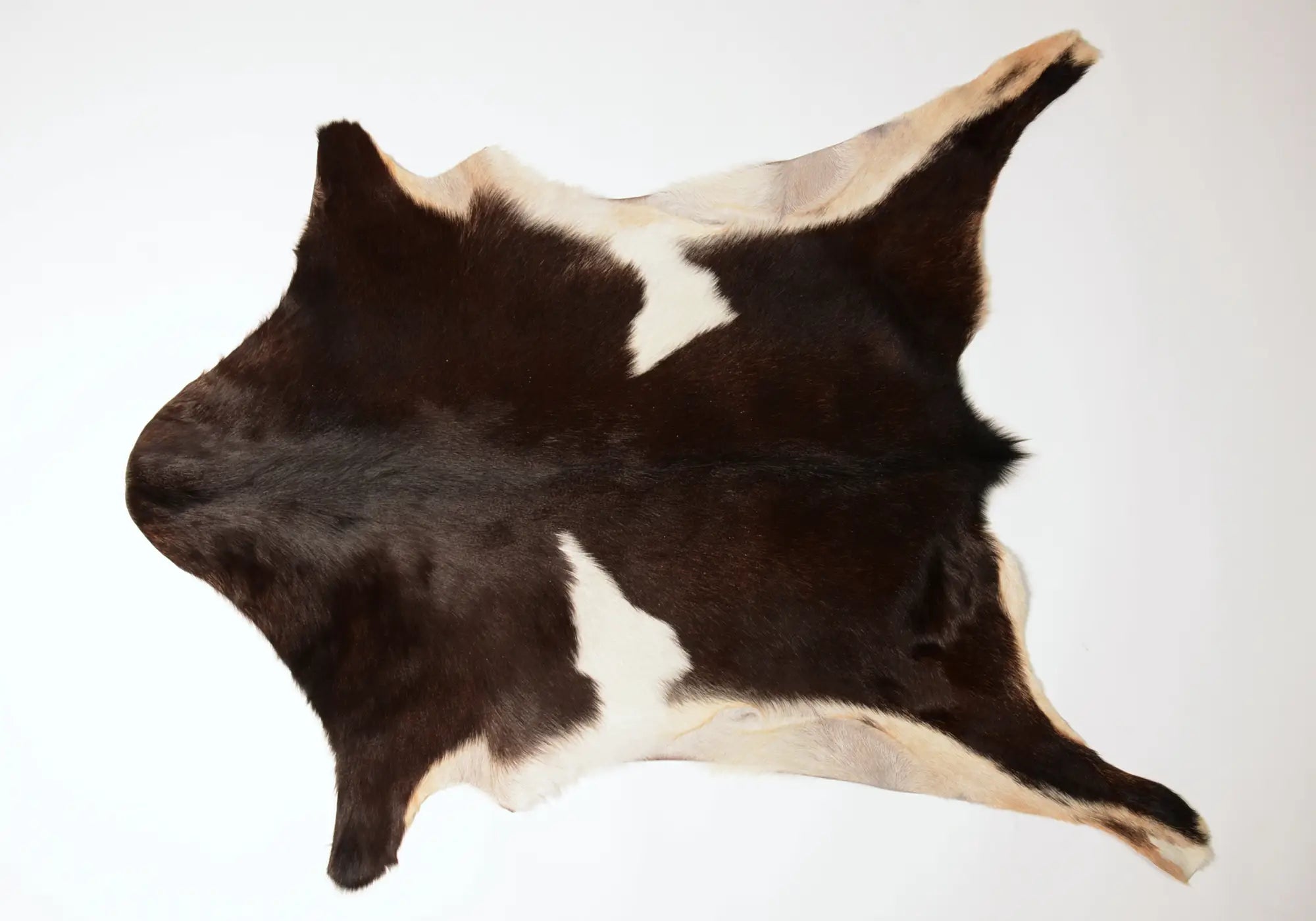 Premium Natural Goat Skin Leather - Dark Chocolate & White Color | Durable & Soft Material for Handbags, Wallets & DIY Craft Projects