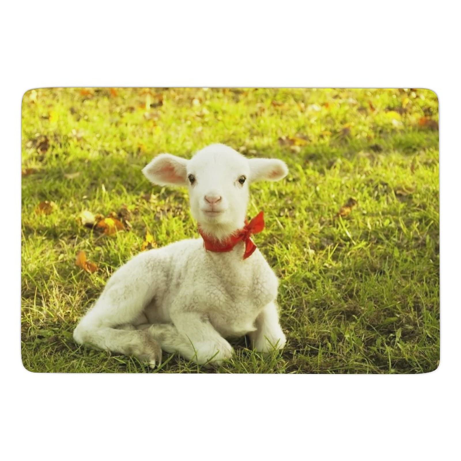 Soft Non-Slip Sheep Goat Animal Print Area Rug - 3x5ft Foldable Kids Floor Mat for Nursery, Bedroom, Playroom & Dorm Decor | Cute Home Accent for Girls & Teens