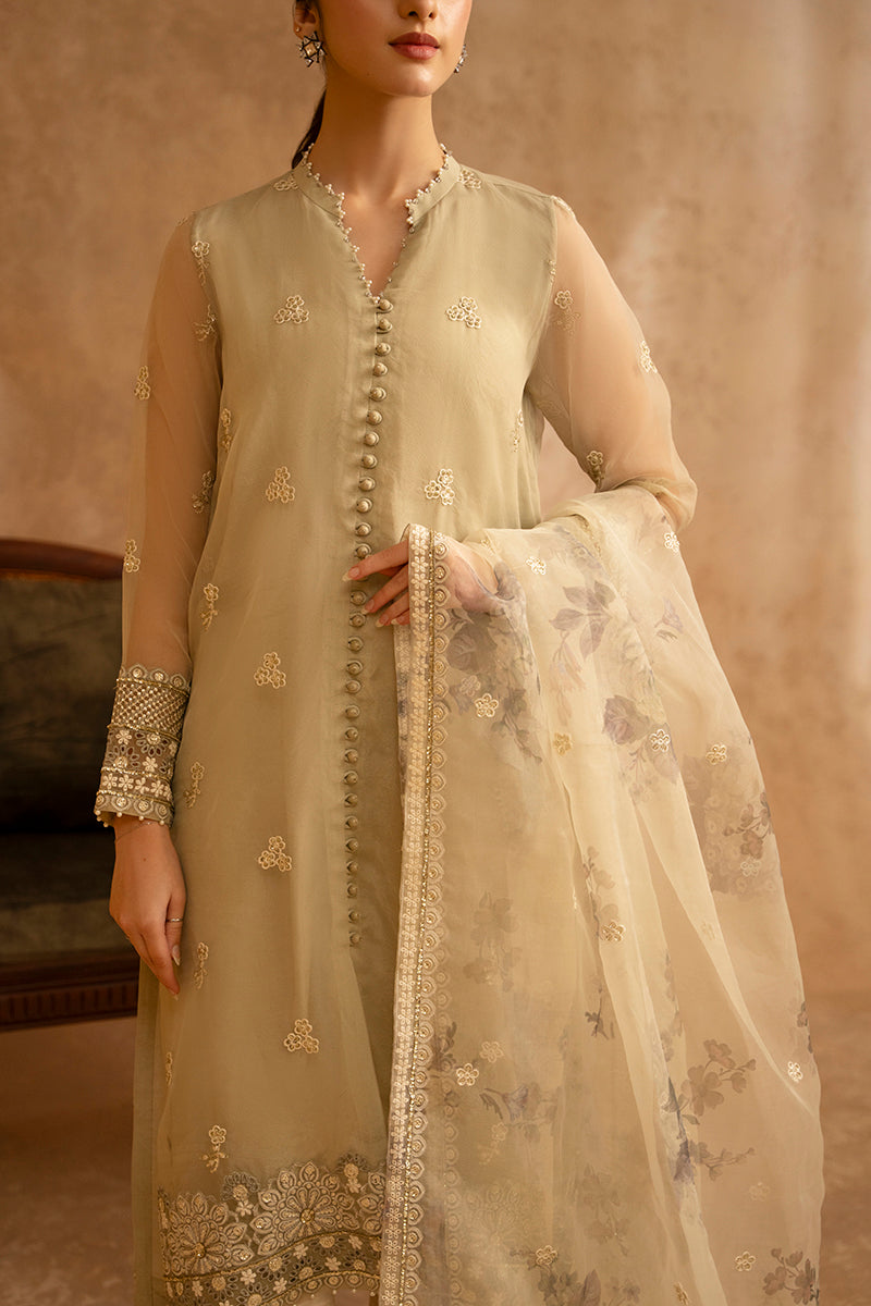 Island Fossil 2-Piece Organza Embroidered Suit for Women - Elegant Formal Outfit for Weddings, Parties & Special Occasions