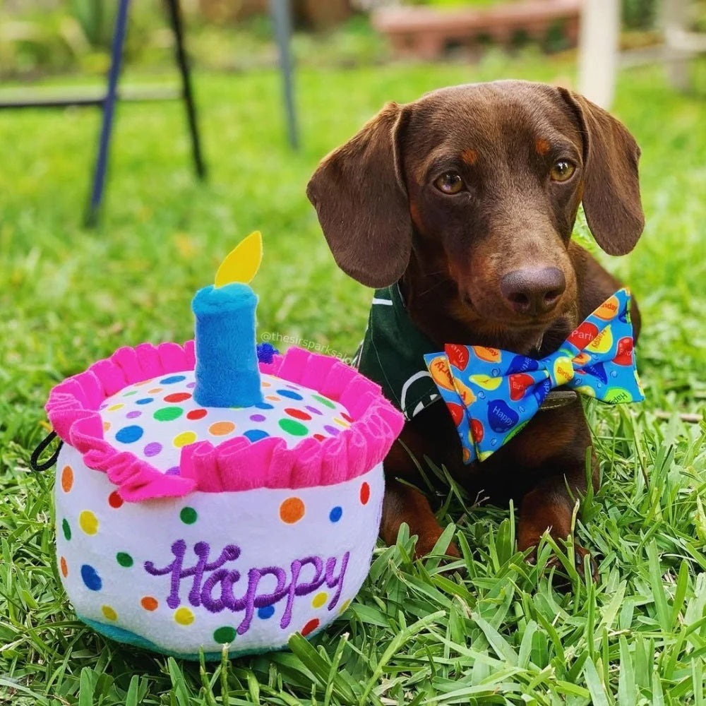 Happy Barkday Cake Dog Plush Toy - Soft & Cute Birthday Gift for Puppies - Perfect for Dog Birthday Parties, Puppy Playtime & Cuddling