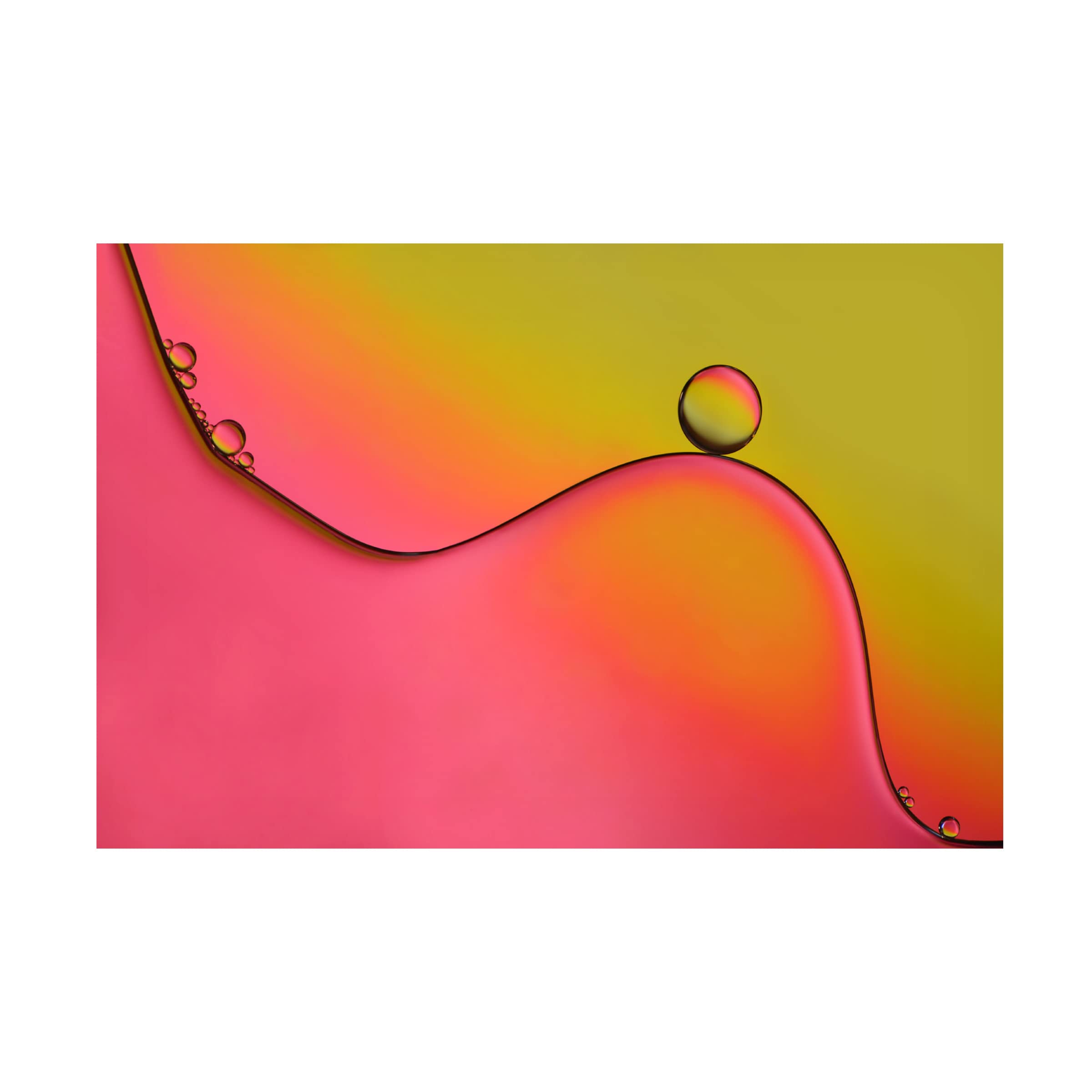 Heidi Westum 'During' Canvas Art Print - Modern Wall Decor for Living Room, Bedroom & Office - Trademark Fine Art Collection
