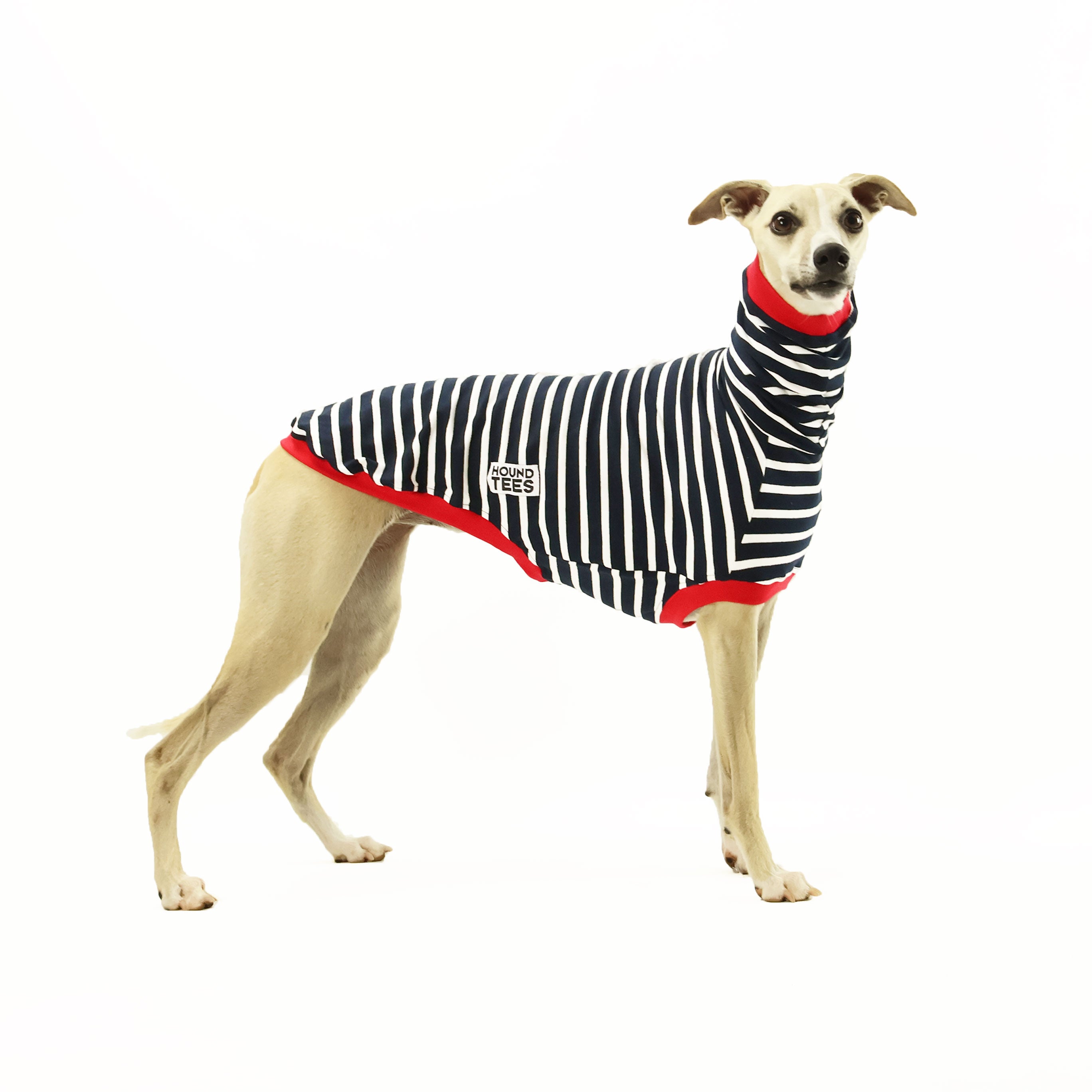 **Aussie Whippet Sleeveless Hound T-Shirt - Breathable & Comfortable Dog Tee for Active Pets - Perfect for Walks, Playtime & Outdoor Adventures**