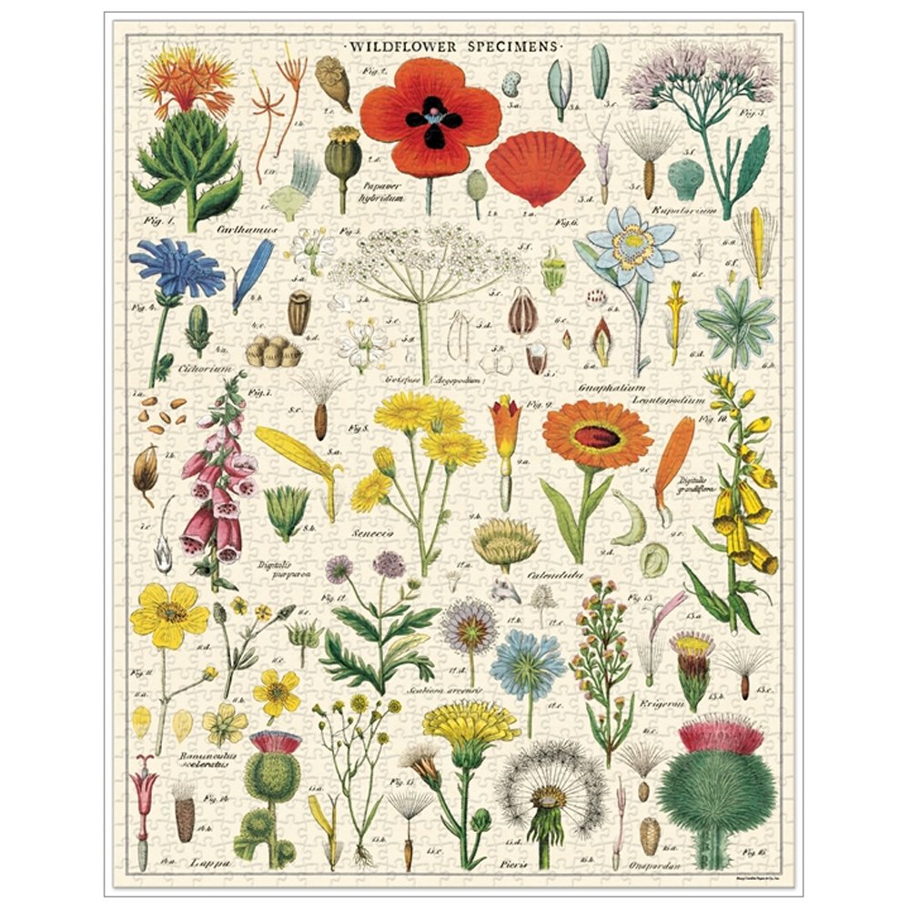 1000 Piece Wildflowers Jigsaw Puzzle - Beautiful Floral Landscape for Adults & Teens - Perfect for Relaxation, Family Bonding & Home Decor