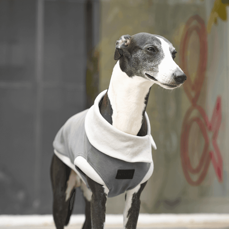 Graphite Asymmetric Collar Tank Top for Women - Trendy Sleeveless Casual Shirt for Summer Outfits & Layering