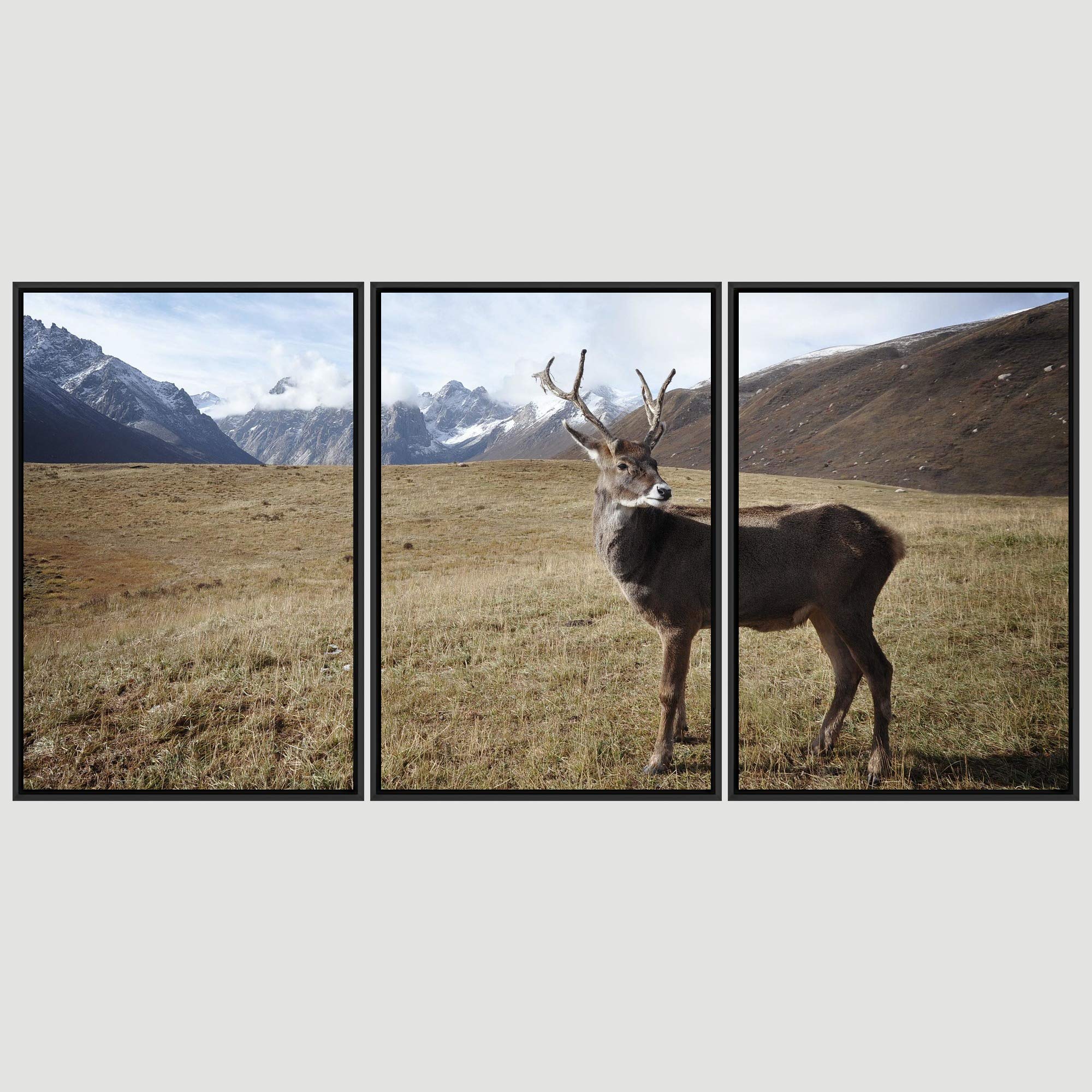 Spiritual Animals Deer Canvas Wall Art - 3 Piece Framed Prints (16