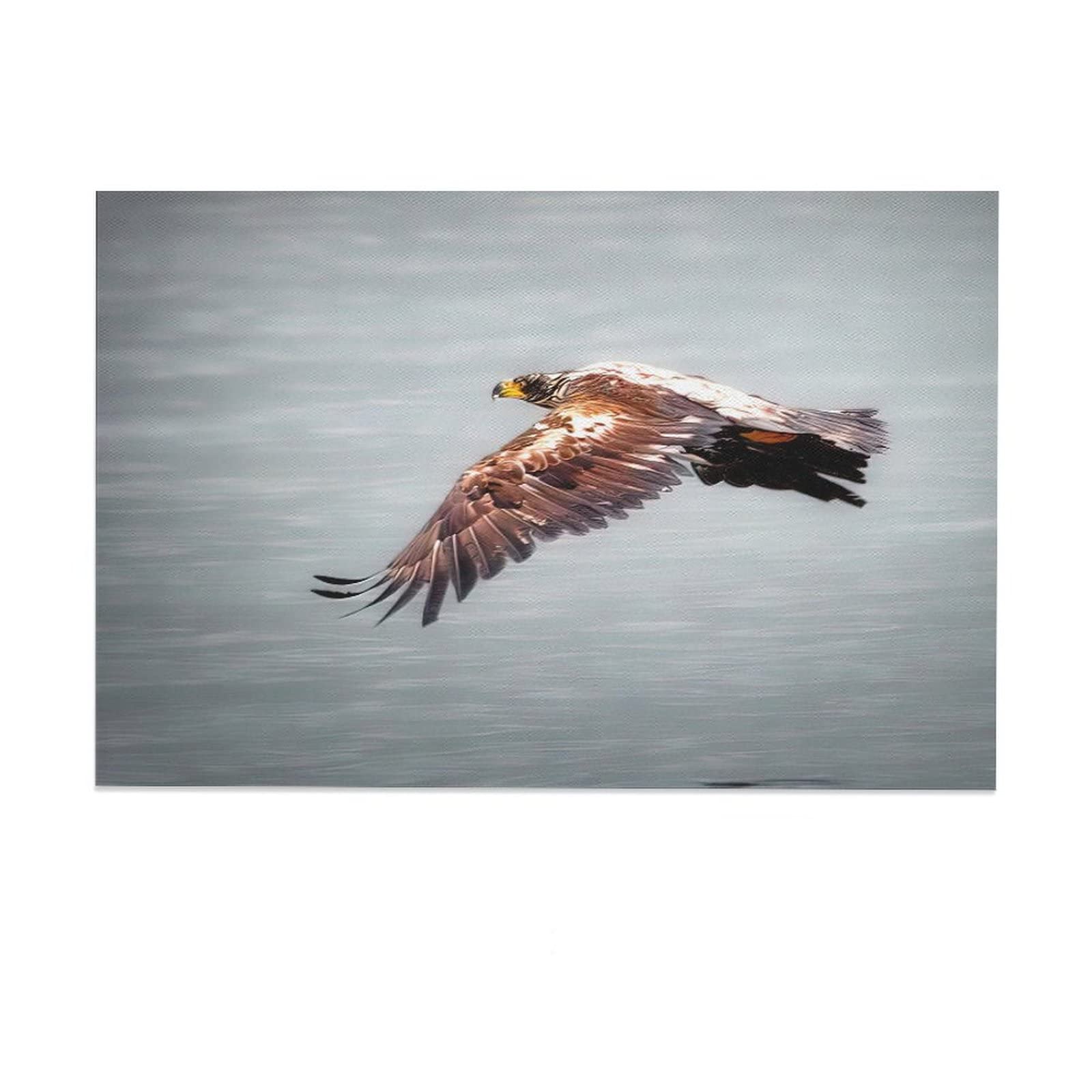 American Bald Eagle Flight Canvas Wall Art Print - 16x24 Inches (40x60cm) - Nature Landscape Poster for Living Room, Bedroom & Office Decor - Perfect Gift for Home & Sports Enthusiasts | Ideal for Wall Decor, Housewarming Gifts & Wildlife Theme Interiors