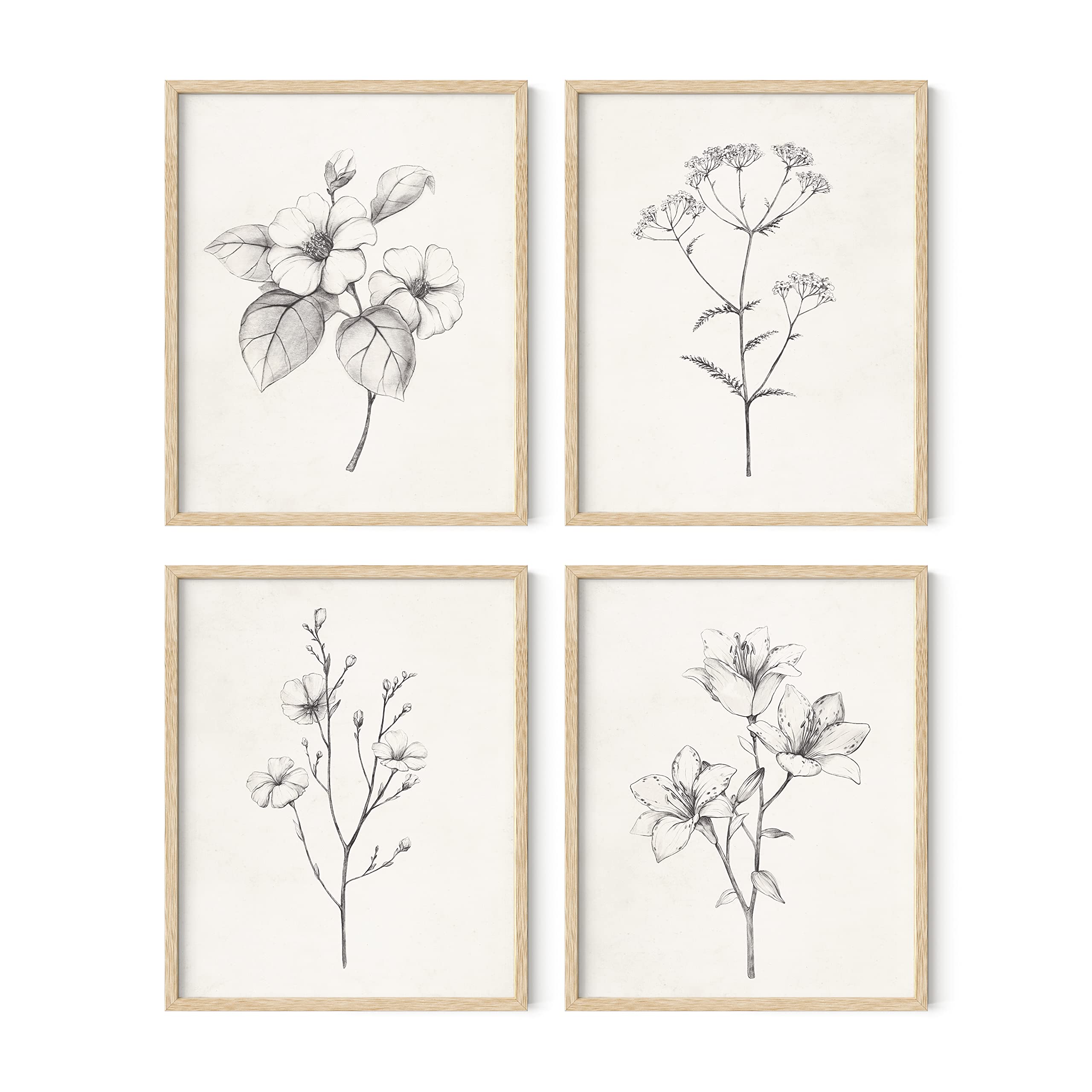 HAUS AND HUES Vintage Botanical Wall Art Set - 4 Grey Floral Prints with Beige Frame (8x10), Black & White Flower Pictures for Farmhouse Bathroom Decor, Rustic Room Aesthetic & Home Office Wall Art | Perfect for Living Room, Bedroom & Apartment Decor