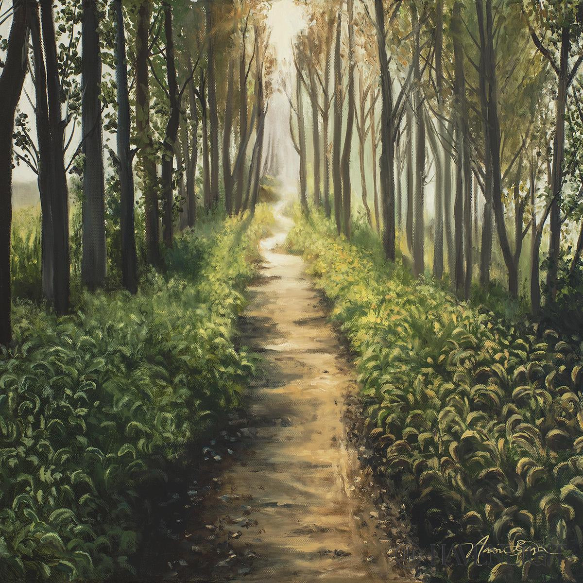 Forest Walkway - Beautiful Wooden Pathway for Gardens, Parks & Trails | Perfect for Outdoor Decor & Nature Walks