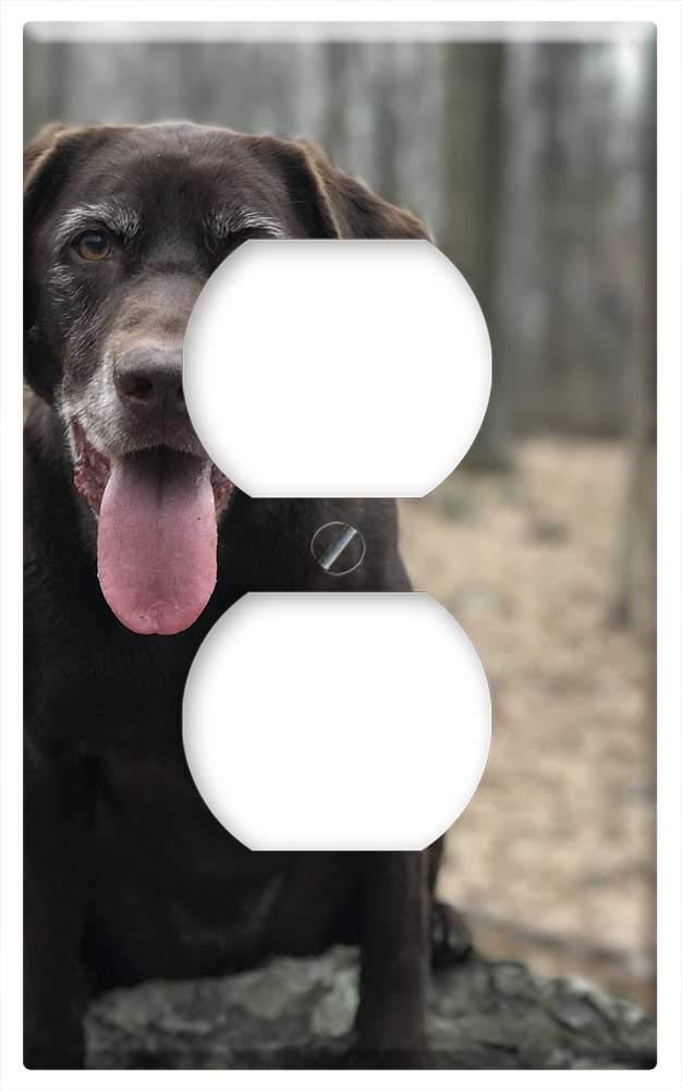 Chocolate Labrador Dog Switch Plate Outlet Cover - Decorative Wall Plate for Home, Office & Pet Lover's Room Decor