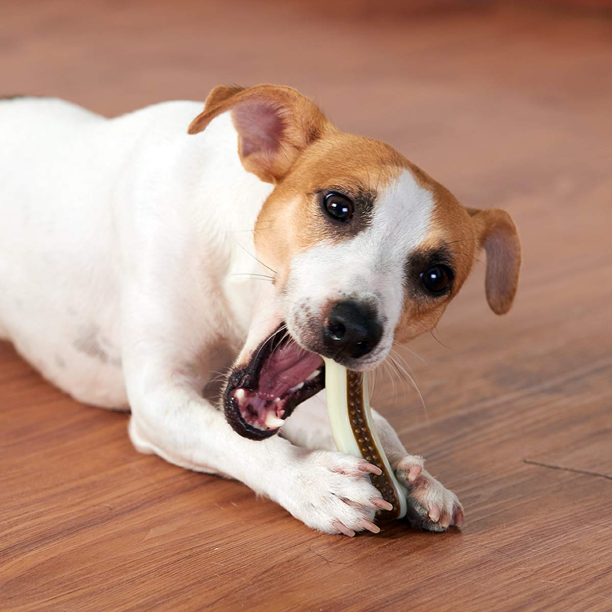 Durable Indestructible Dog Chew Toys for Aggressive Chewers - 2 Pack Beef Flavor Nylon Chew Bones for Large, Medium & Small Breed Puppies - Perfect for Teething, Boredom Relief & Dental Health