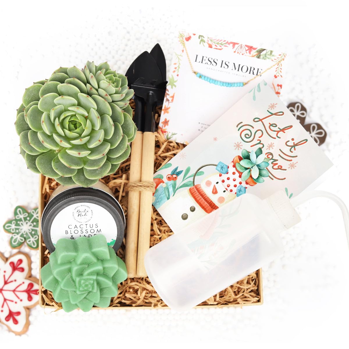 Premium Succulent & Air Plant Gift Box for Women - Personalized Plant Lover Gift Set - Unique Holiday & Birthday Present - Home Office Desk Decor & Housewarming Gift Idea