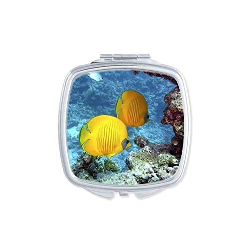 DIYthinker Double Sided Compact Mirror with Ocean Fish Nature Design - Portable Pocket Makeup Mirror for Travel, Home Vanity & Gift