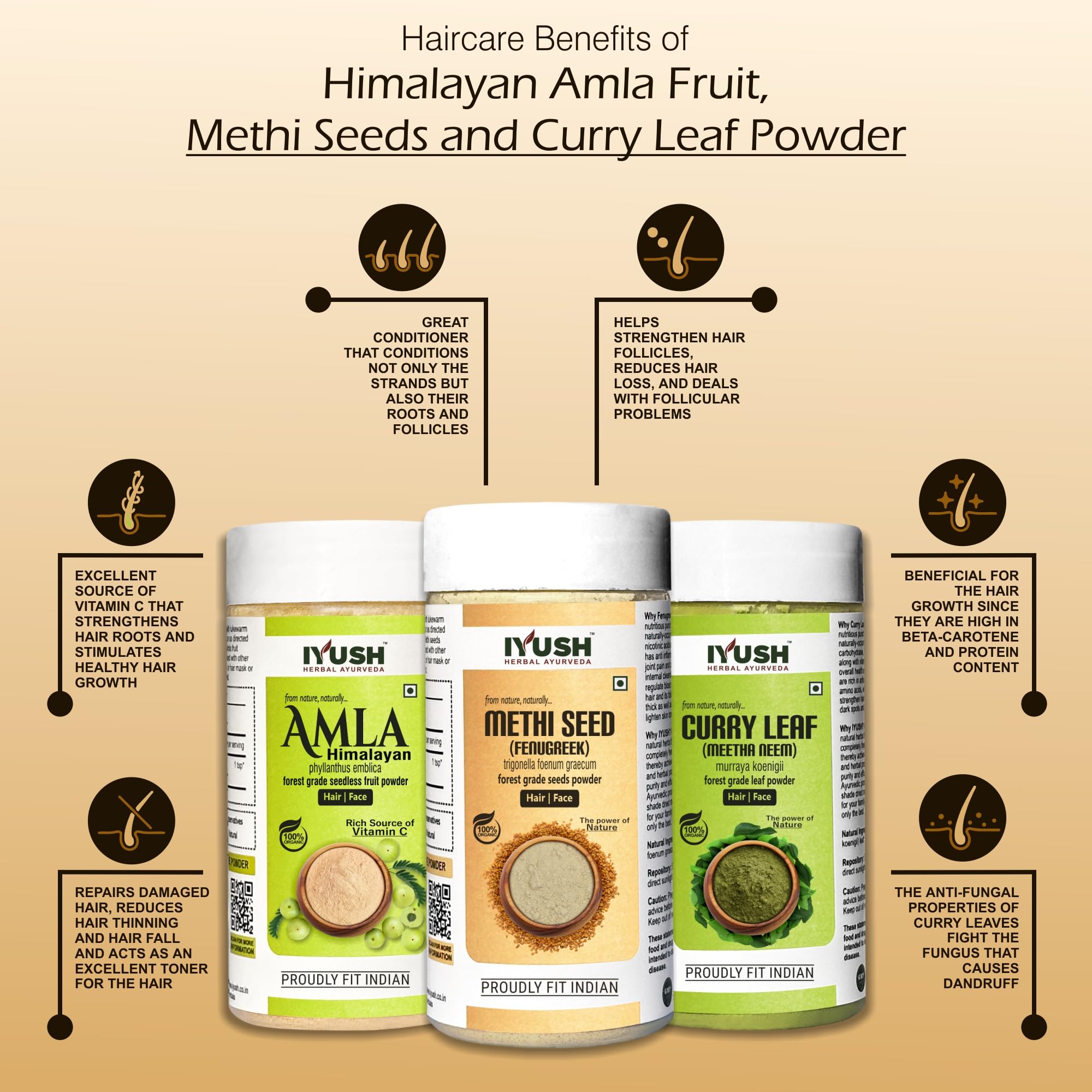 Organic Ayurvedic Amla Powder with Curry Leaves & Fenugreek Powder for Hair Growth – 300g | Natural Hair Mask for Dry, Frizzy Hair & Scalp Care | Volumizing Treatment | Skin & Hair Wellness | Perfect for DIY Hair Masks & Ayurvedic Beauty Routines