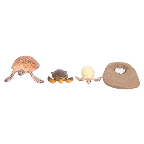 Sea Turtle Growth Cycle Model Toy - Miniature Plastic Science Animal Figures, Educational Life Cycle Simulation for Kids Ages 3+ | Perfect for Classroom Learning & Marine Biology Education