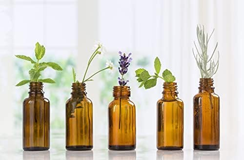 100% Pure Cucumber Mint Essential Oil by Nature's Note Organics - 1 Fl Oz - Aromatherapy, Relaxation & Skin Care - Perfect for Diffusers, Massage & DIY Beauty Products