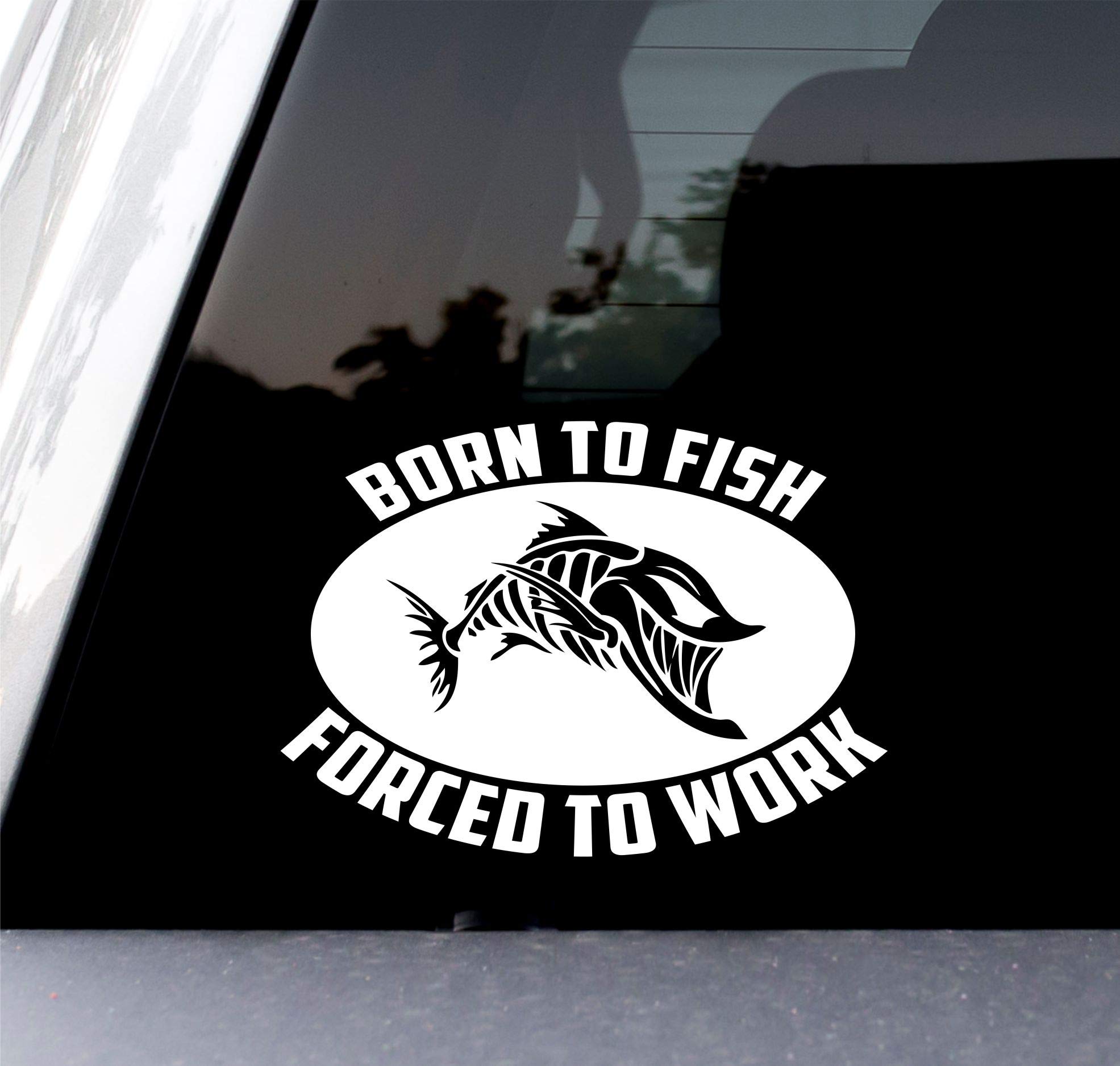Born to Fish Forced to Work - 6x4 Inch White Car Decal Sticker for Cars, Trucks, Vans, Walls & Laptops - Perfect for Fishing Enthusiasts & Outdoor Lovers