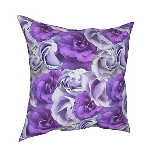 Purple Prairy