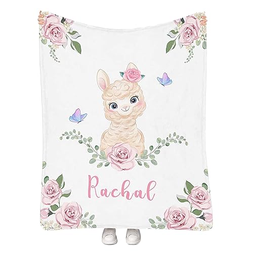 Alpaca00