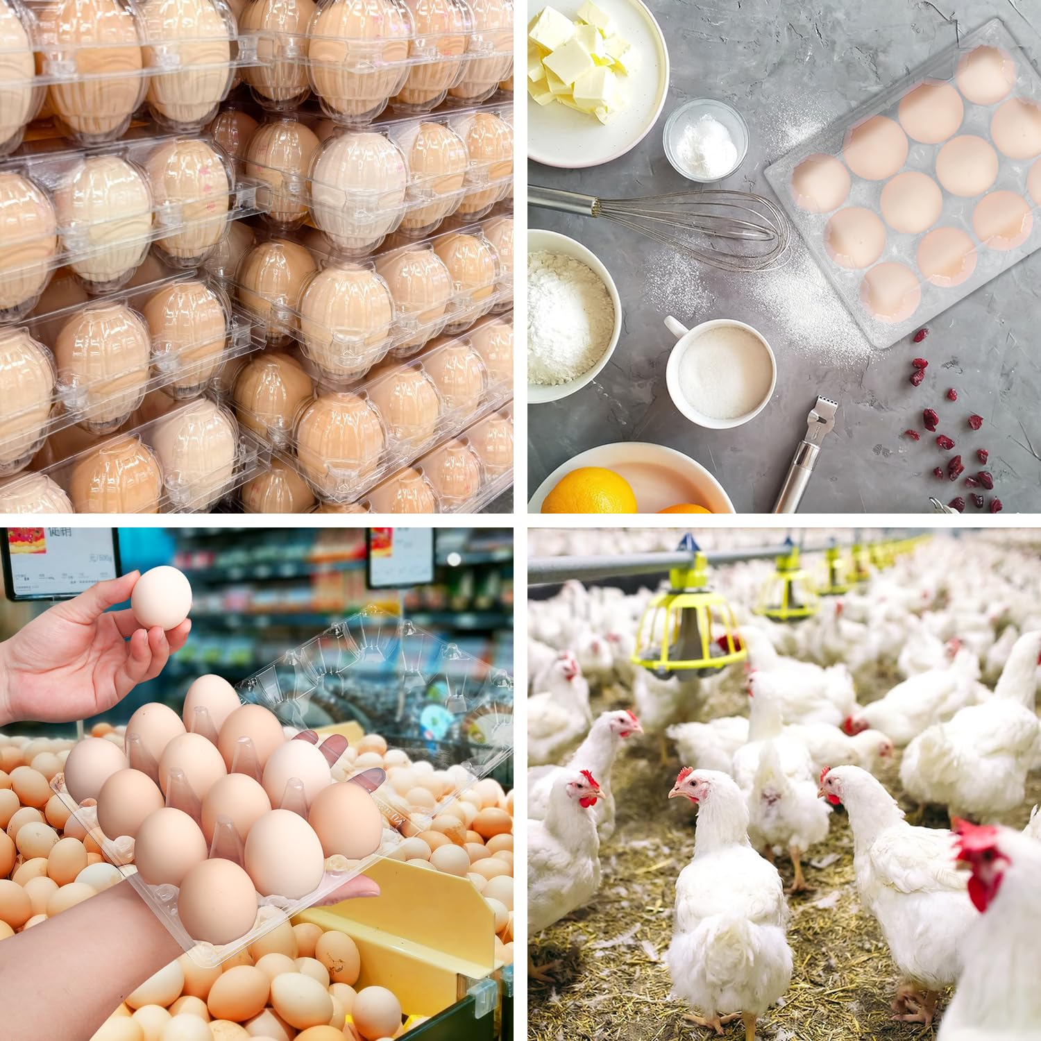 150 Pack Clear Plastic Egg Cartons - Bulk Chicken Egg Holders & Trays for Home Kitchen, Farm, Market - Eco-Friendly 12 Grid Egg Storage Solution - Perfect for Organizing, Selling Eggs, or Farmers Market Displays
