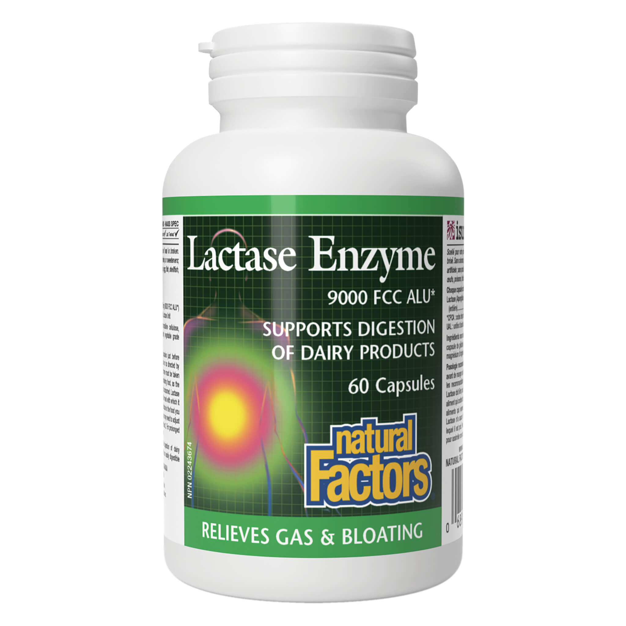 Lactase Enzyme Supplement - 60 Capsules for Lactose Intolerance Relief | Supports Dairy Digestion for Adults & Kids | Perfect for Meals, Travel & Daily Comfort