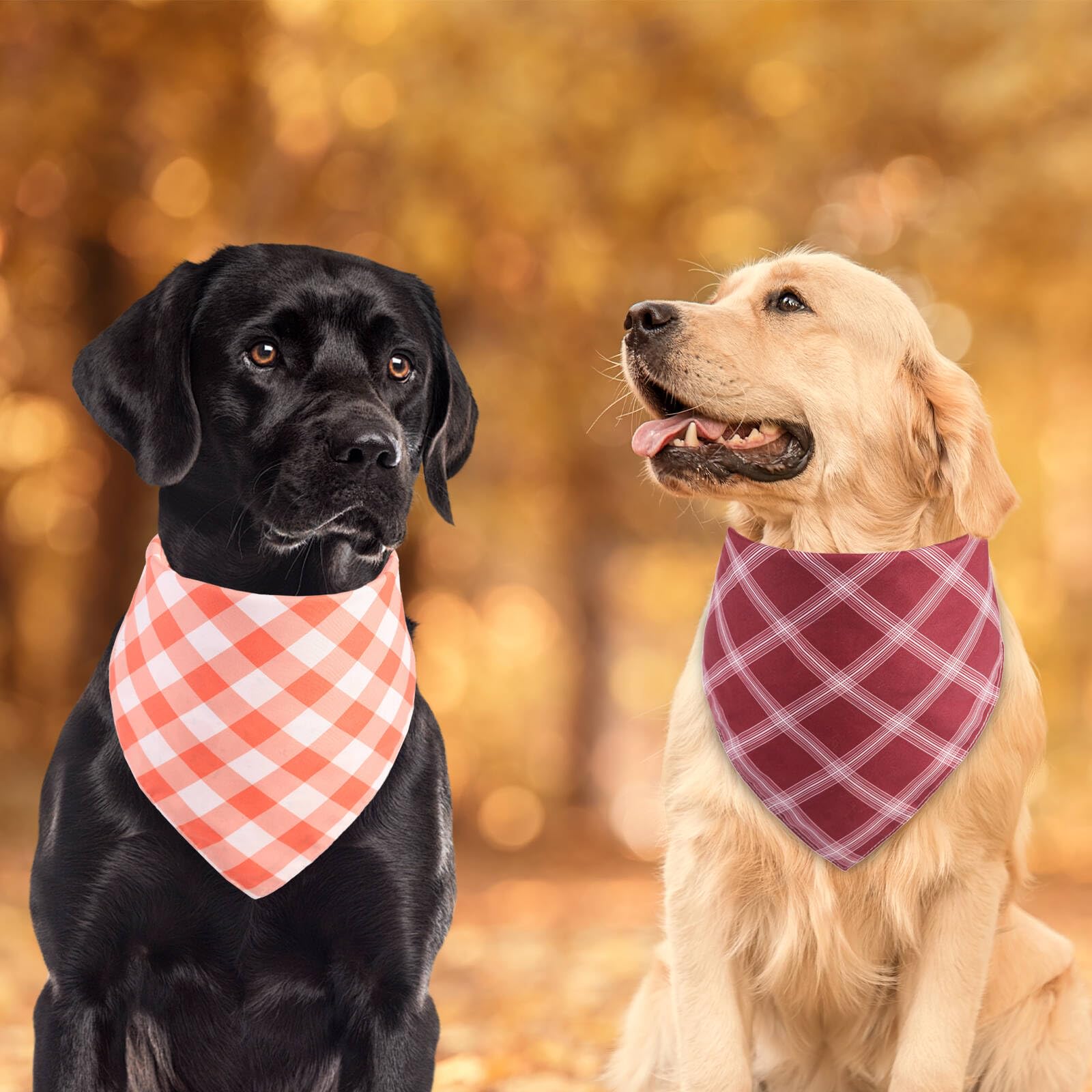 2PCS Fall Dog Bandanas for Large Dogs - Reversible Halloween Thanksgiving Pumpkin & Leaf Bibs Scarf, Buffalo Plaid Triangle Pet Bandana for Medium/Large Breed Puppies | Perfect for Autumn Walks, Pet Photos & Holiday Gifts