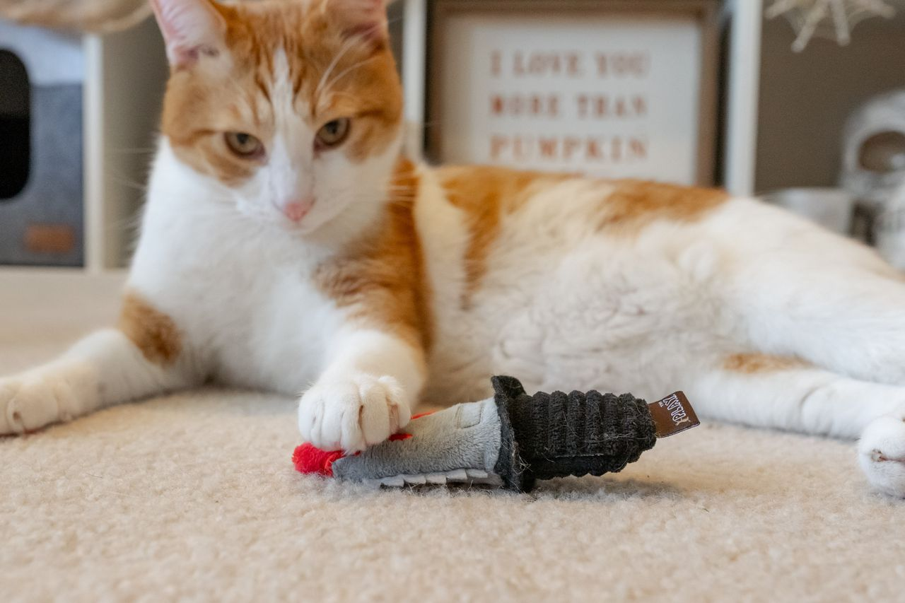 P.L.A.Y. Feline Frenzy Cat Toy - Deadly Duo Interactive Cat Toys for Indoor Cats | Best for Playtime, Exercise & Bonding with Your Kitty