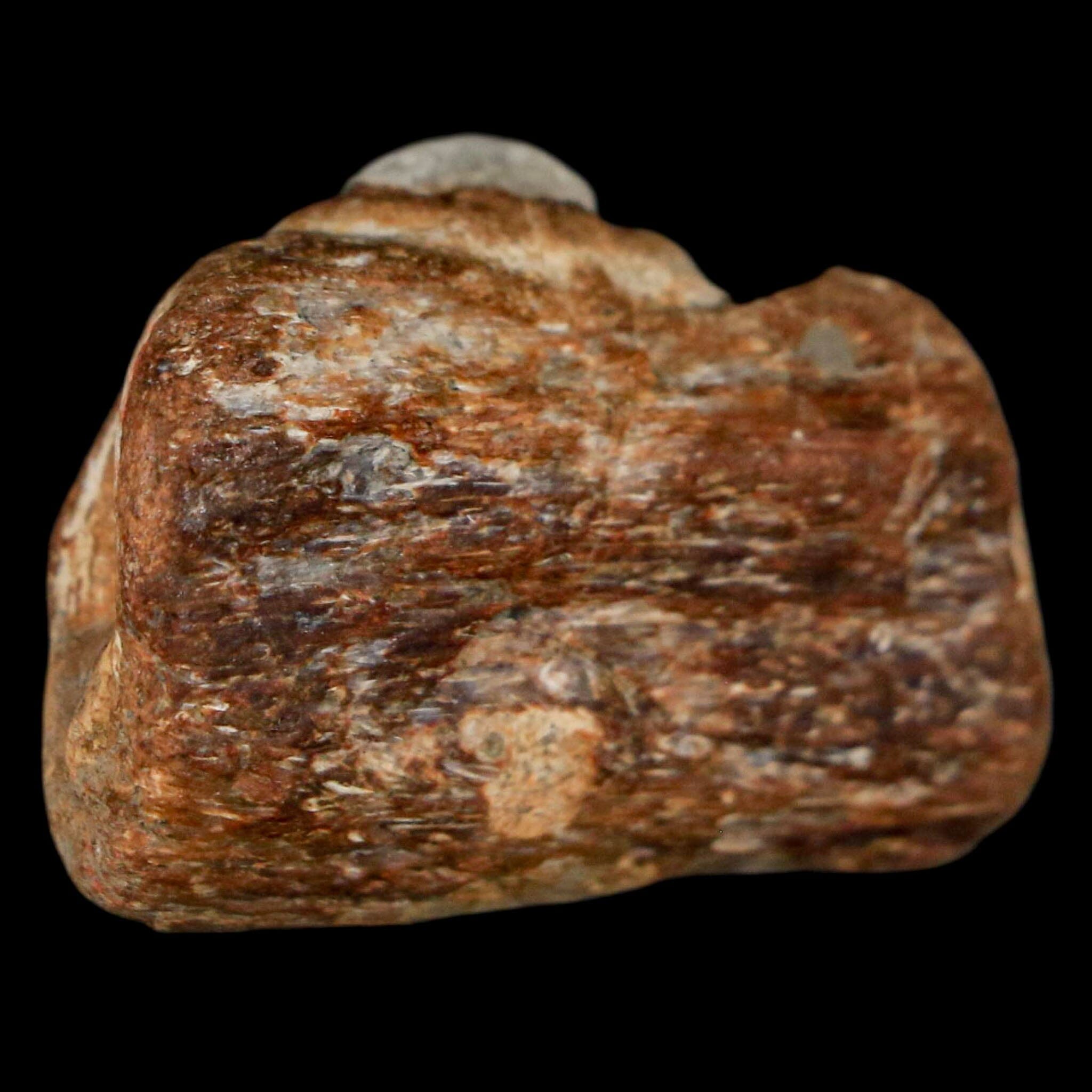 1.5