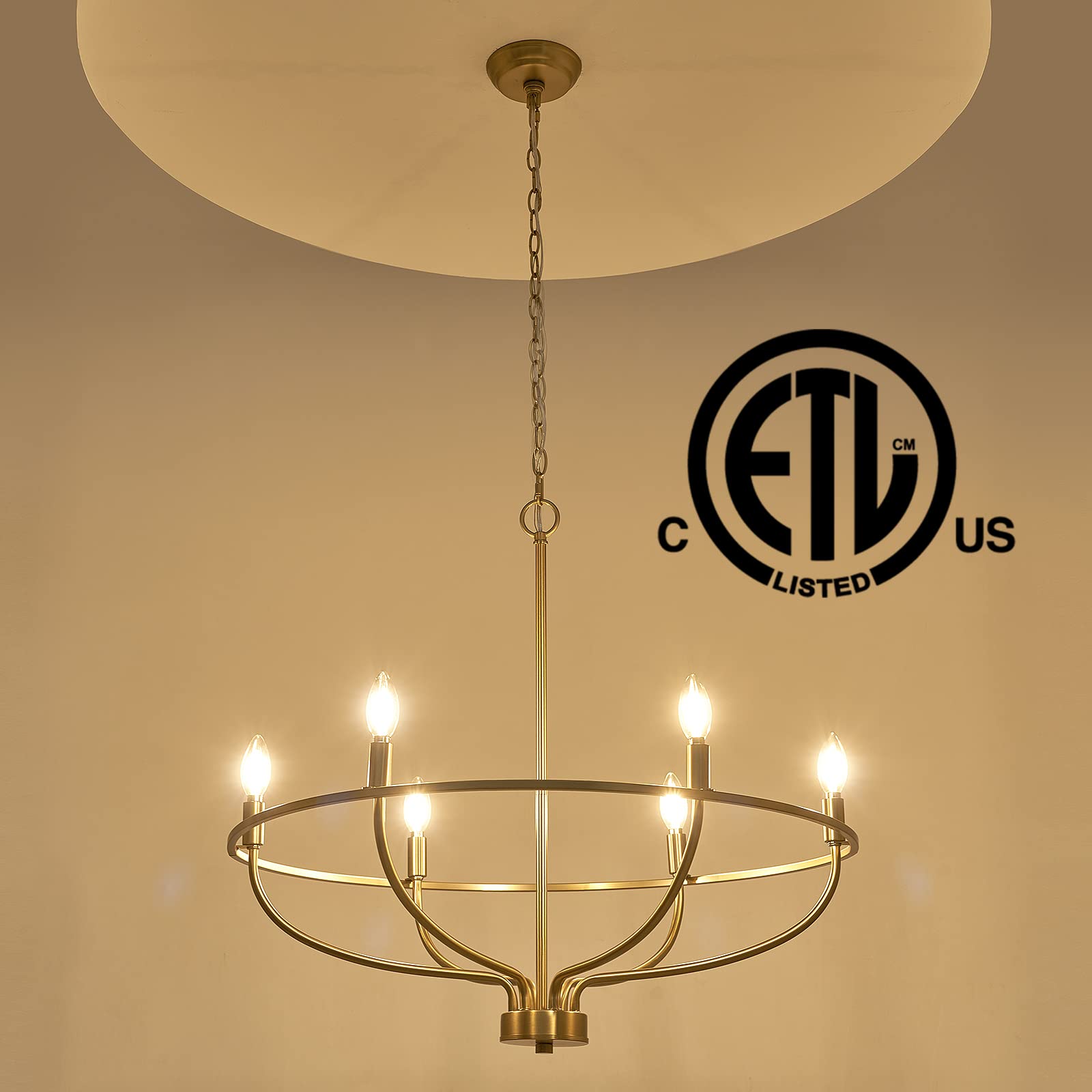 6-Light Brushed Gold Chandelier - 29