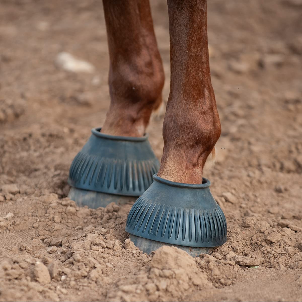 Classic Equine Rubber Bell Boots - Large Black for Horse Riding Protection