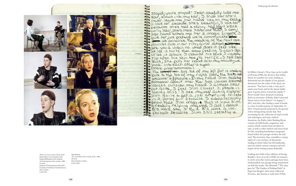 Kathy Acker Book - Get Rid of Meaning for Literary Studies