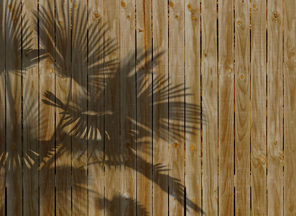 Designwalls 2 Shade of Palm Wall Art - Tropical Leaf Canvas Prints for Home & Office Decor - Perfect for Living Room, Bedroom or Beach House
