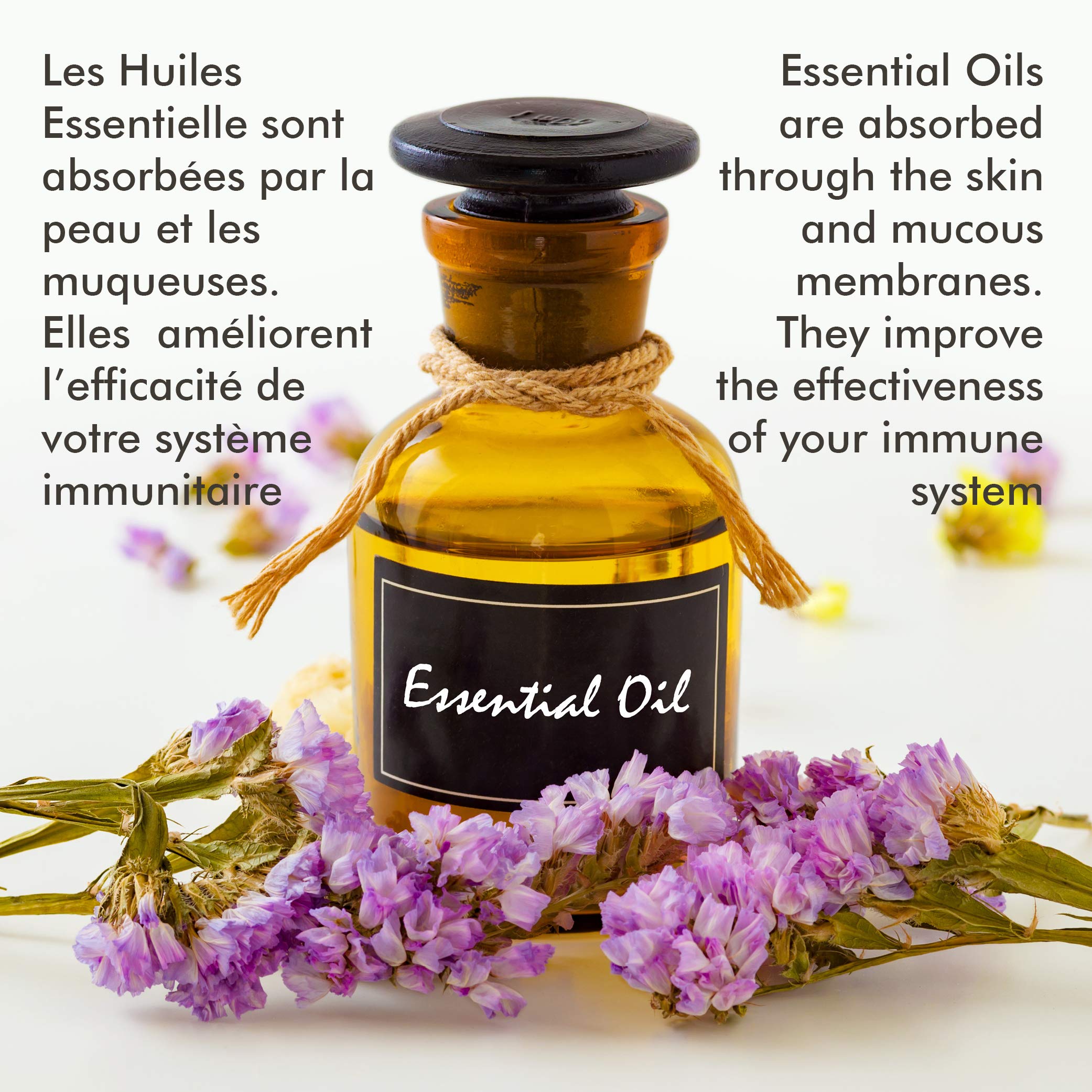 Pure Natural Eucalyptus Mint Sauna Fragrance Oil - 500ml Essential Oil for Relaxation & Aromatherapy - Perfect for Spa, Steam Room & Home Sauna Sessions