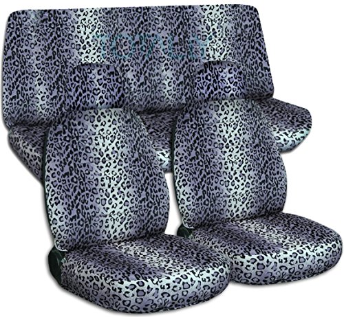 Gray Leopard