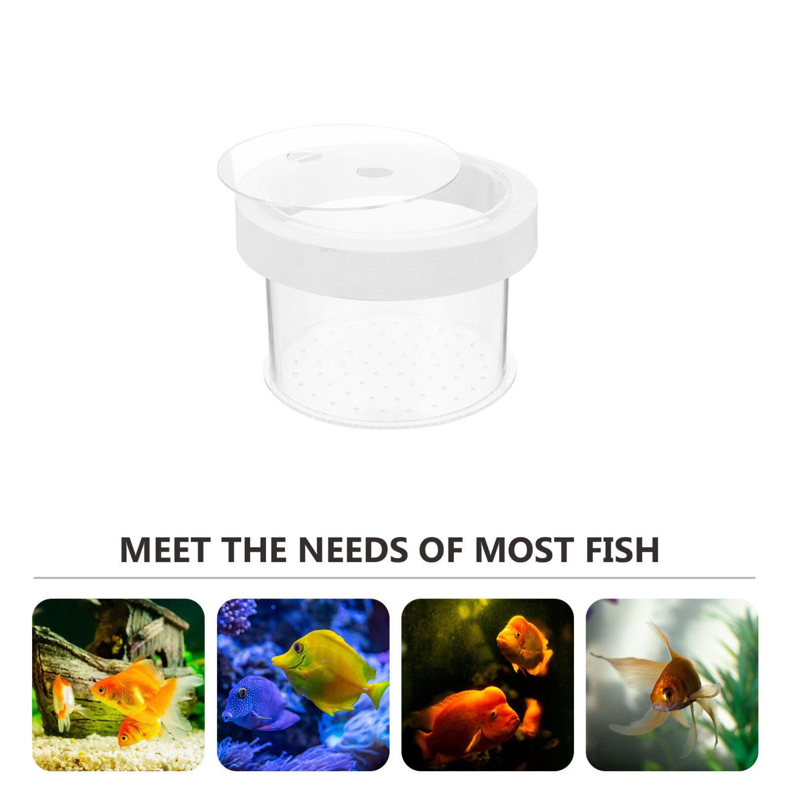 Acrylic Floating Fish Breeding Box for Aquarium - Isolation & Hatching Tank Divider for Shrimp & Small Fish | Perfect for Safe Breeding in Home Fish Tanks