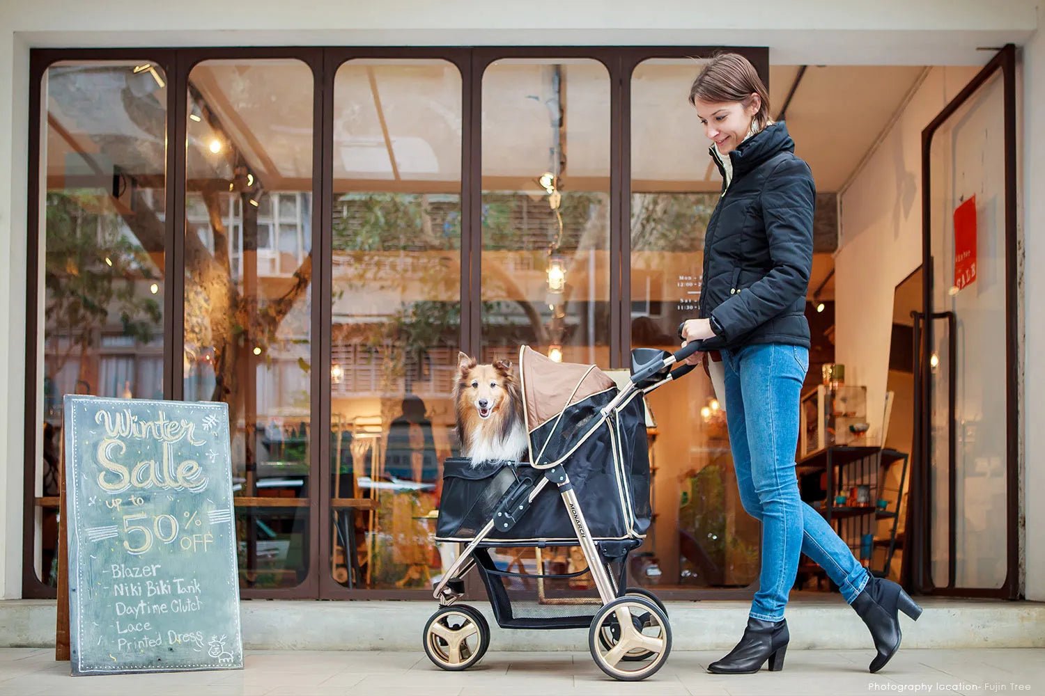 Monarch Premium Pet Jogger Stroller - Luxury Gold Design for Small Dogs & Cats | Perfect for Jogging, Walking & Outdoor Adventures