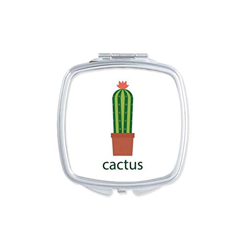 DIYthinker Cactus Potted Plant Green Succulents Mirror - Portable Compact Double Sided Glass Makeup Mirror for Travel, Home, Office & Vanity Use
