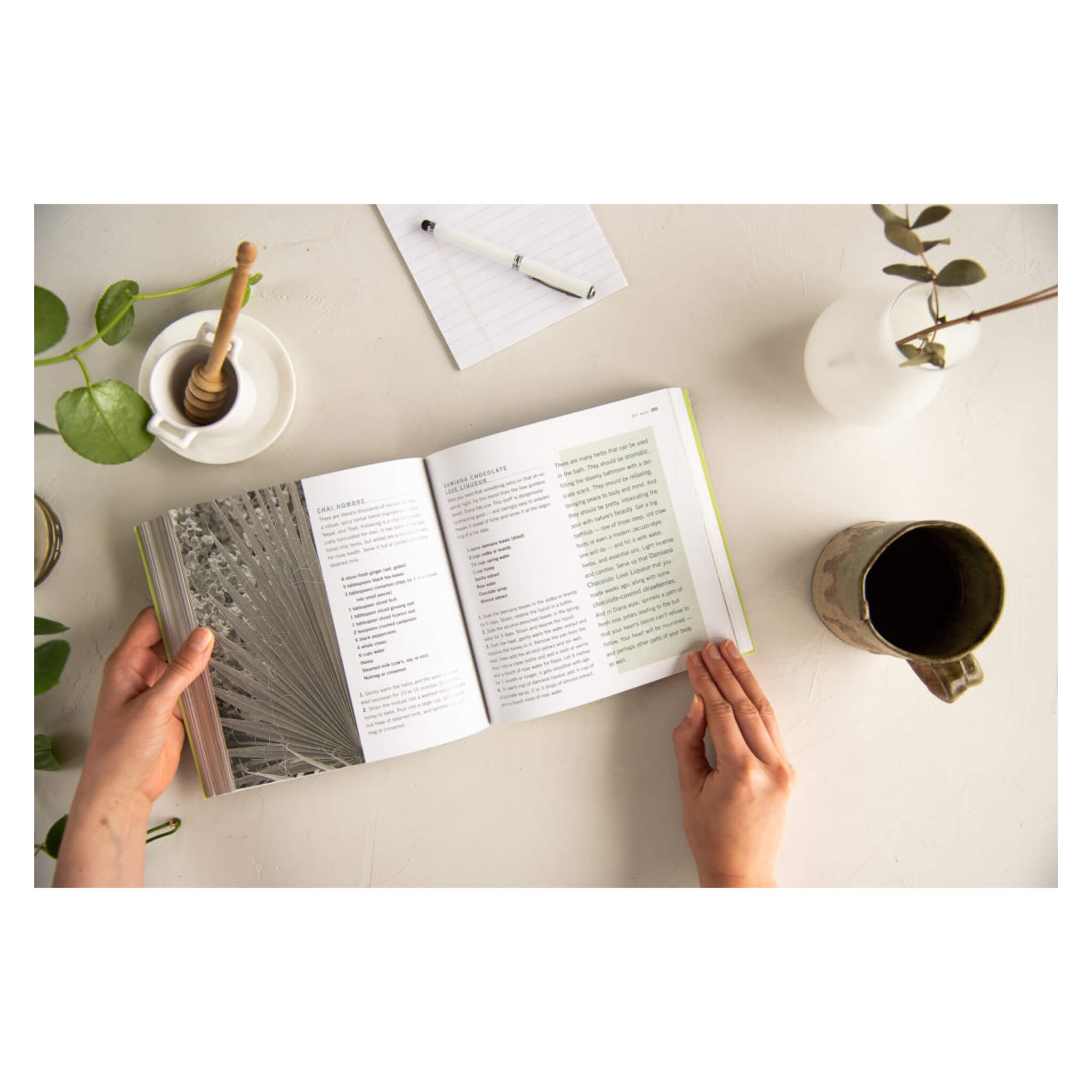 Best Herbal Recipes for Vibrant Health & Wellness | Natural Remedies for Energy, Immunity & Detox | Perfect for Home Cooking & Healthy Lifestyle