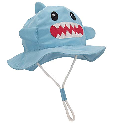 Shark