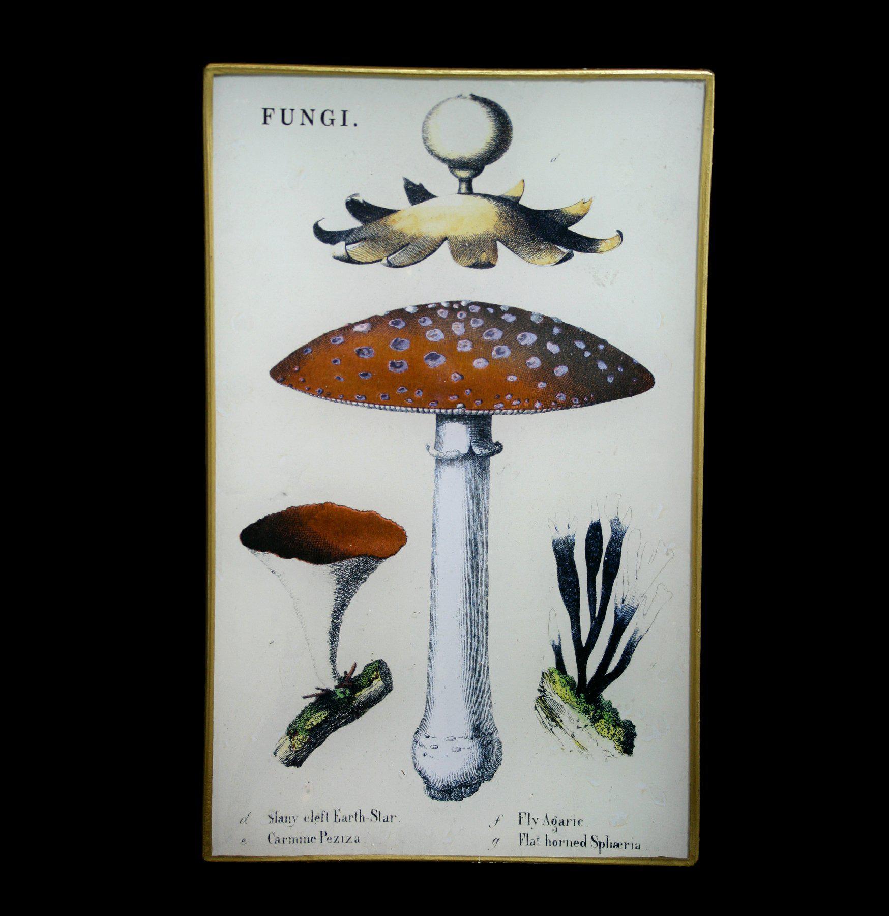 Decorative Glass Fungi Trinket Tray - Handmade Resin Art for Jewelry, Keys & Coins - Perfect for Home Decor, Gift Giving & Vanity Organizer