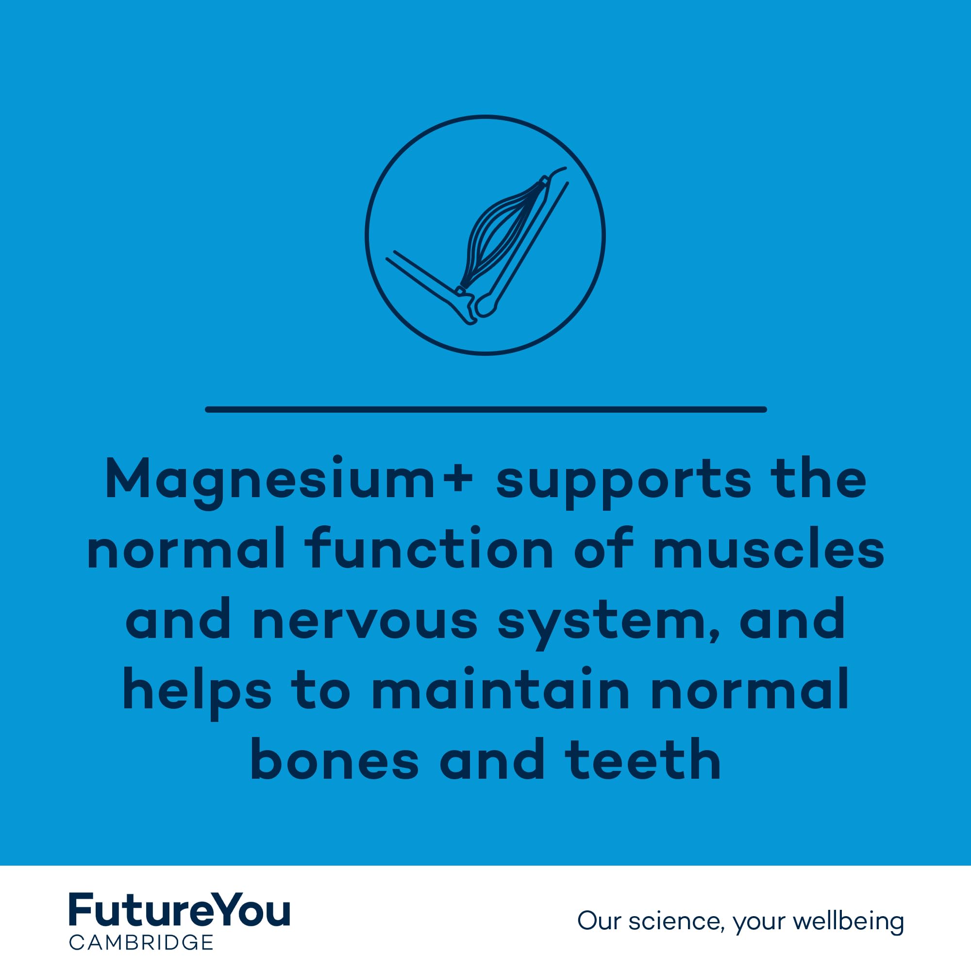 FutureYou Cambridge Magnesium+ 575mg Supplement – 28 High Strength Magnesium Lactate Capsules with Vitamin B6 – Supports Energy, Reduces Fatigue & Promotes Bone Health – Ideal for Athletes, Busy Professionals & Active Lifestyles