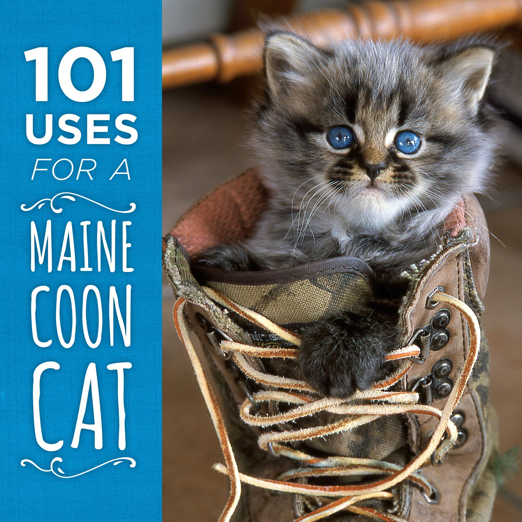 101 Creative Uses for a Maine Coon Cat - Fun Ideas & Practical Tips for Pet Owners | Perfect for Home Decor, Gifts & Social Media Content