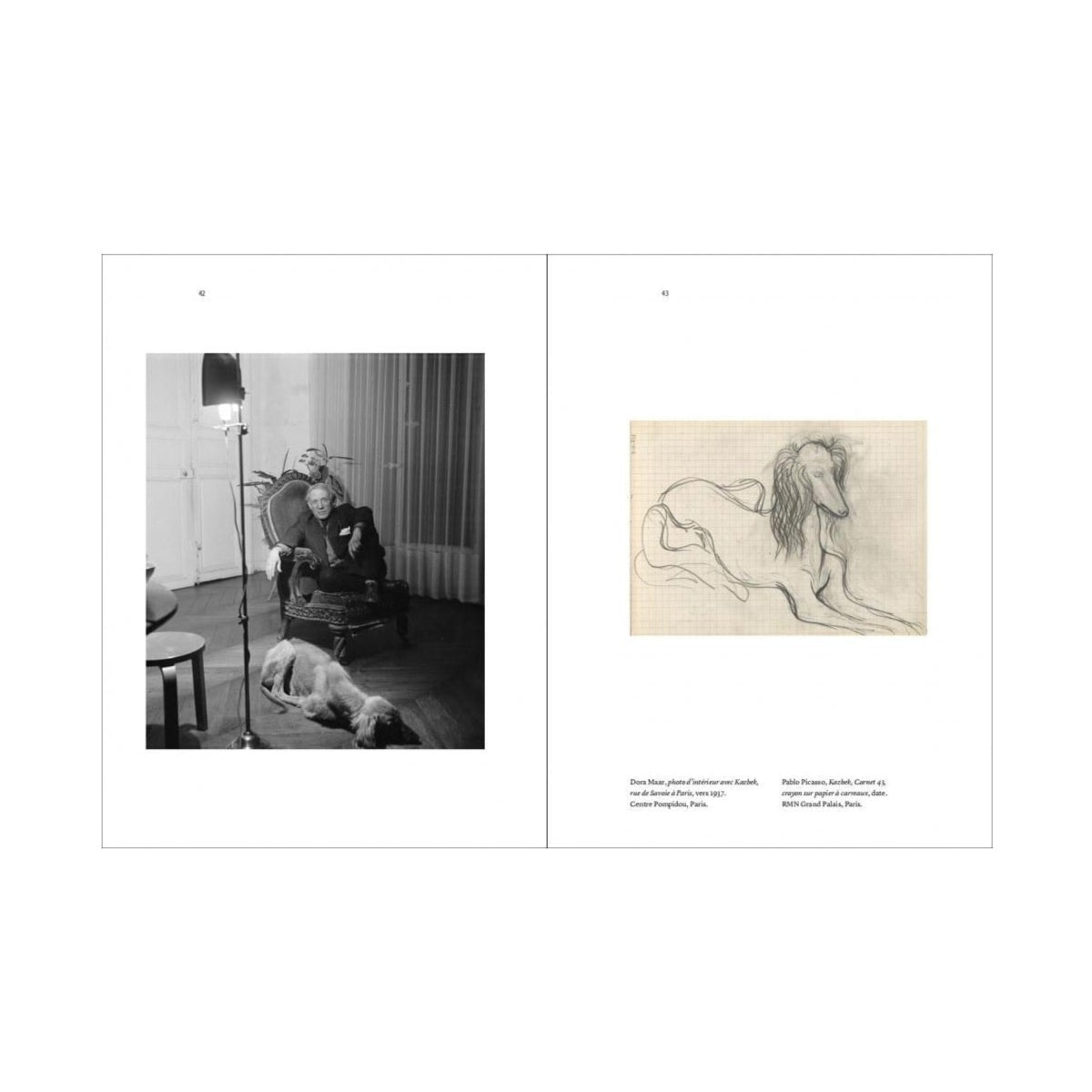 Picasso and His Dogs: Art Book for Coffee Tables - Perfect for Art Lovers & Home Decor
