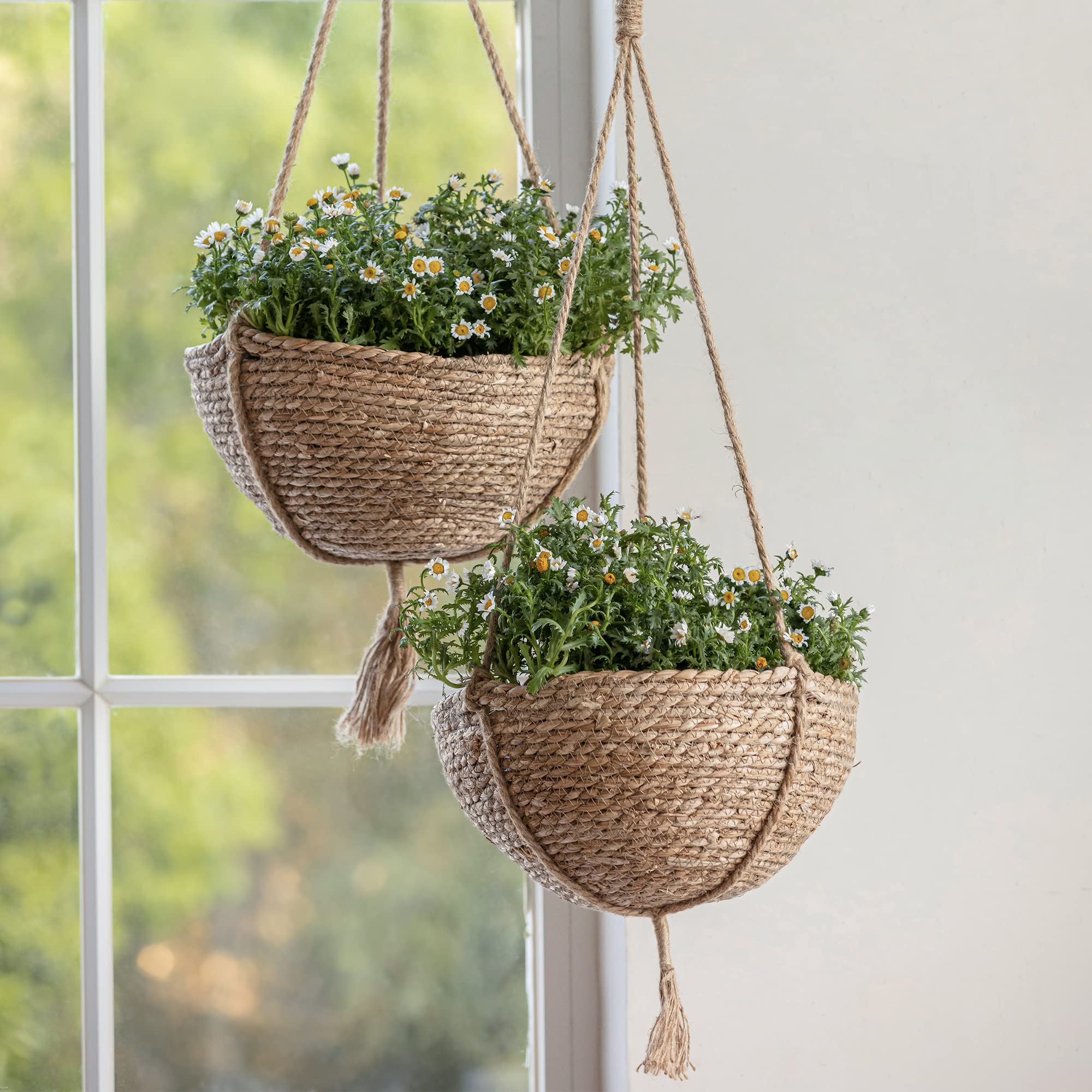 Natural Seagrass Hanging Planter Basket Set - 2 Pack Boho Indoor Plant Pots with Covers, 12.4