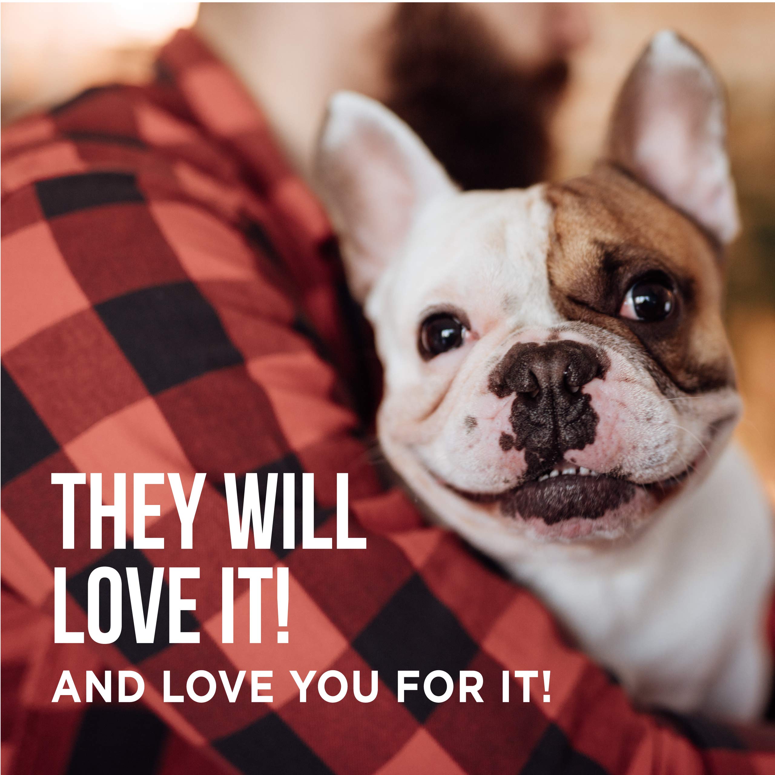 Premium Freeze-Dried Chicken Liver Dog Treats - Grain-Free, All-Natural Dog Snacks for Small & Large Breeds - High-Protein Training Rewards & Healthy Chews (8 oz) - Perfect for Obedience Training, Crate Training & On-the-Go Treats