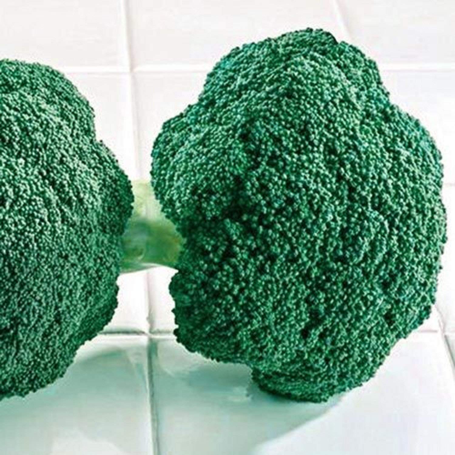 Destiny Hybrid Broccoli Seeds - Non-GMO Heirloom Vegetable Seeds (25+ Seeds Pack) | High-Yield, Fresh Garden Planting | Perfect for Home Gardening, Urban Farming & Organic Vegetable Patches