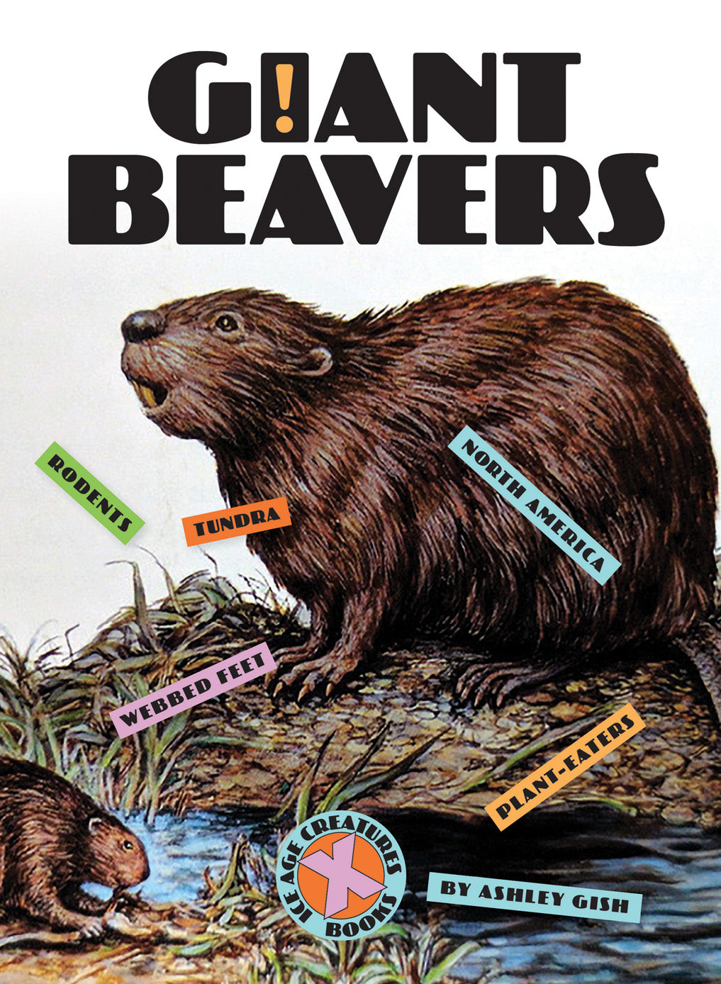Giant Beavers Book - 9781640264342 | Wildlife Nature Guide for Outdoor Enthusiasts & Animal Lovers
