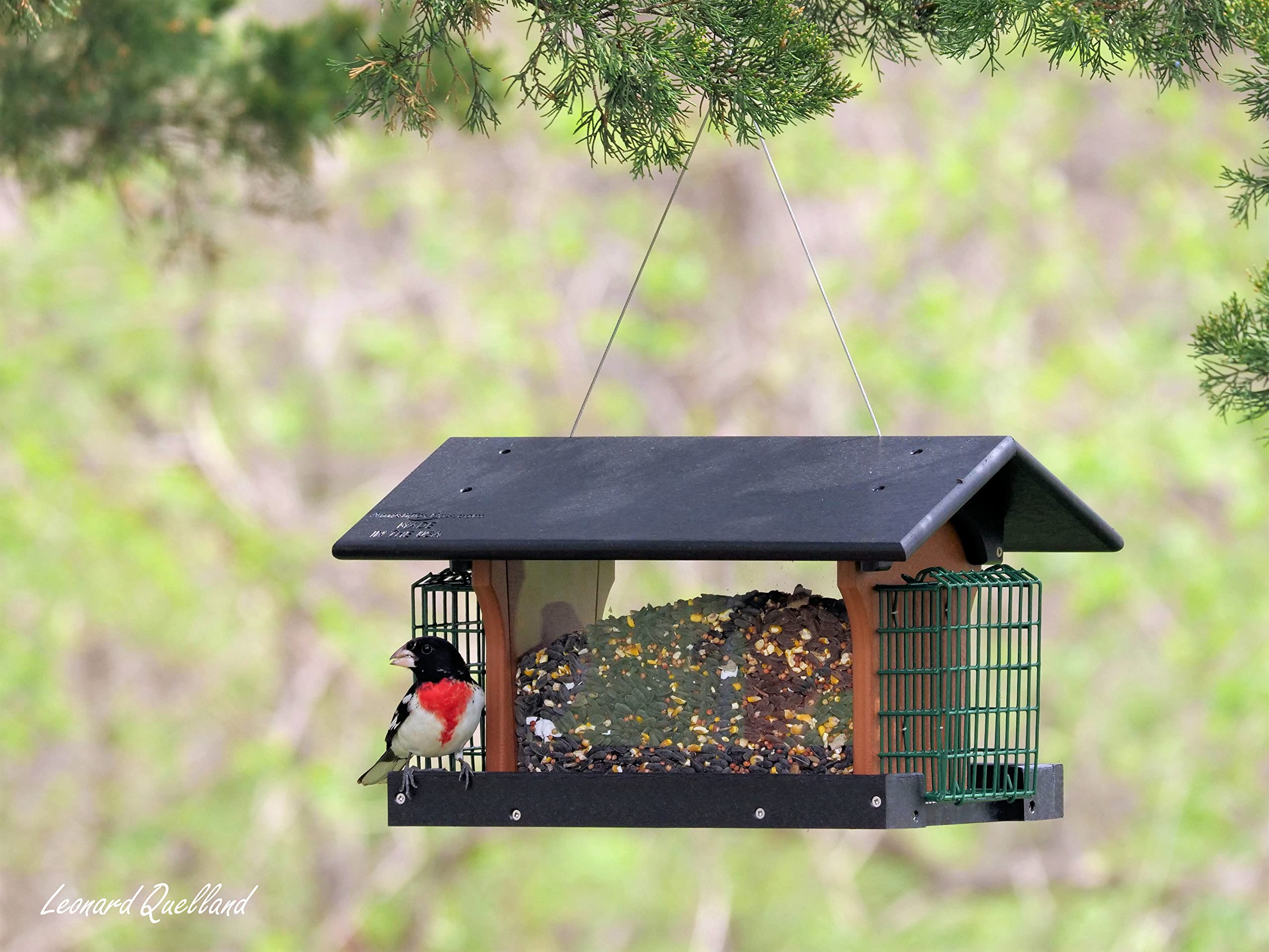 Premium Eco-Friendly Poly Lumber Deluxe Bird Feeder with Suet Holders - Durable Gray/Cherry Wood Design for Backyard Bird Watching & Wildlife Attraction | Perfect for Garden, Patio & Nature Lovers