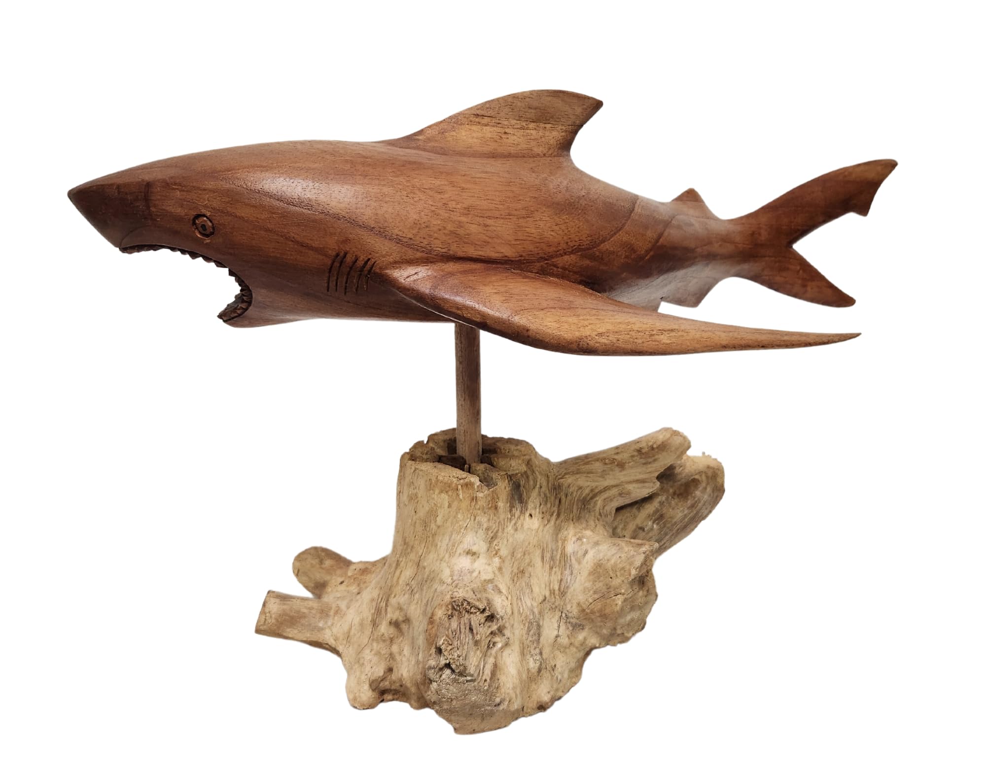 Hand Carved Wooden Shark Sculpture - MACO Shark on Coral Stand - Unique Nautical Ocean Decor for Home, Office, or Beach House - Perfect Gift for Shark Lovers & Marine Theme Enthusiasts