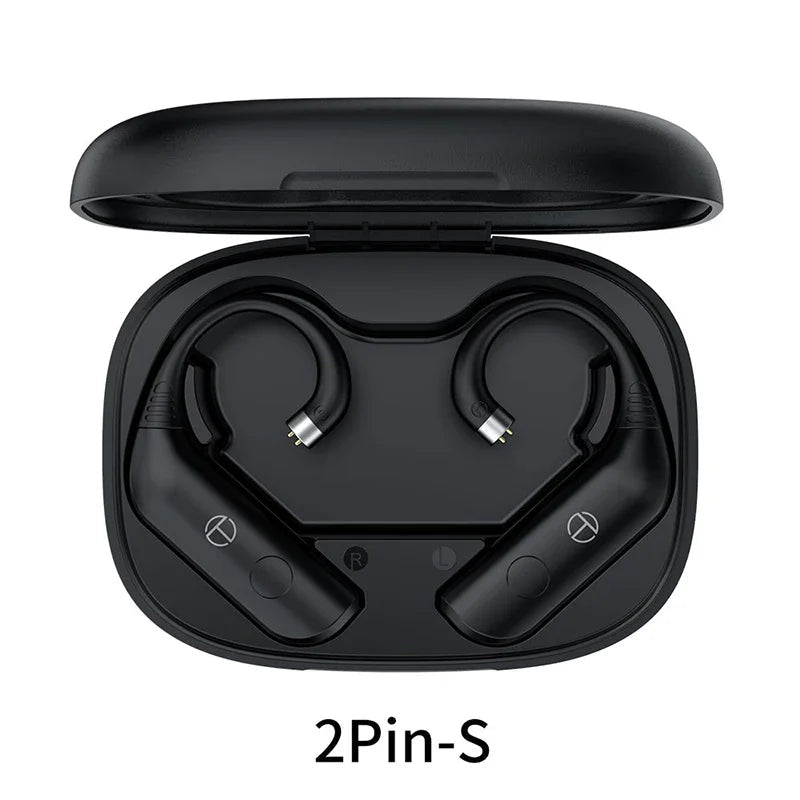 2PinsQDC