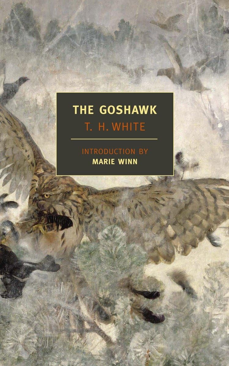 The Goshawk by T.H. White - NYRB Classics Edition | Classic Literature & Nature Writing | Perfect for Book Clubs & Birdwatching Enthusiasts